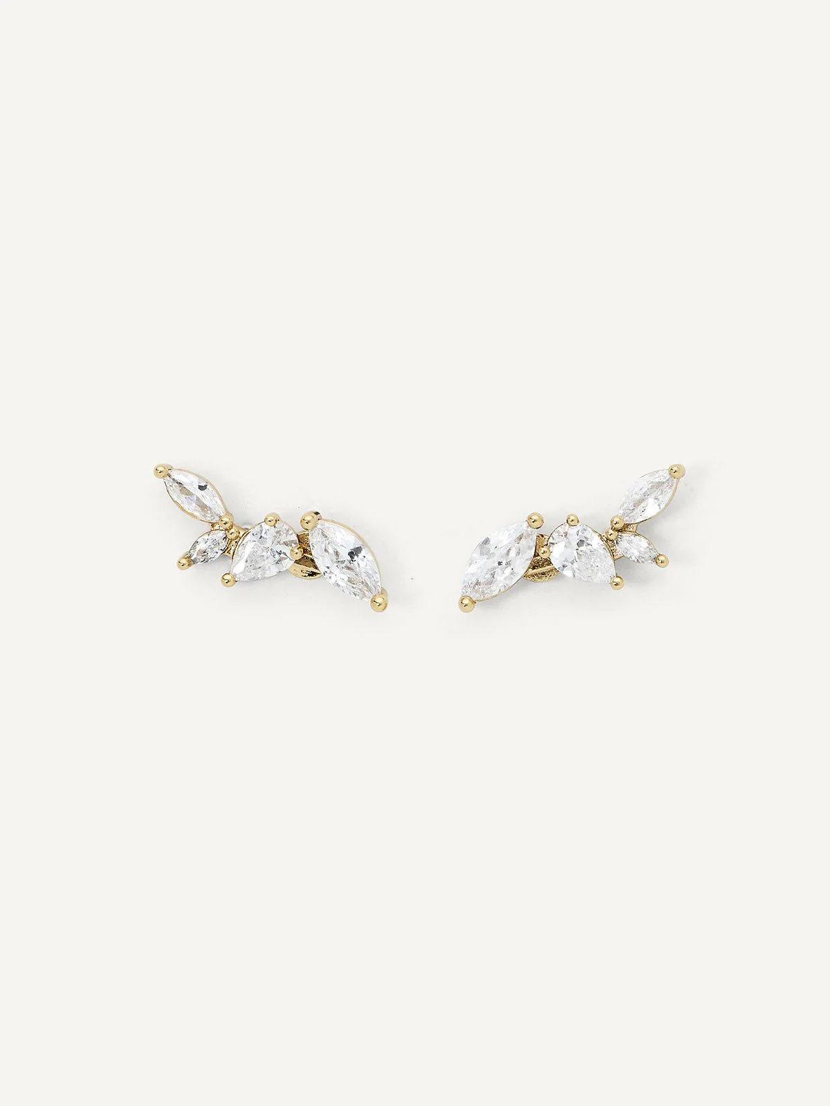 Tania's Top Picks